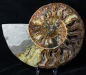 Large Split Ammonite Pair - Crystal Pockets #19216-1